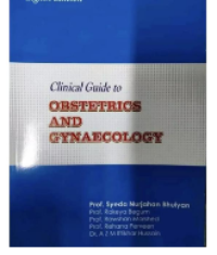 Image of Clinical Guide to Obstetrics And Gynaecology