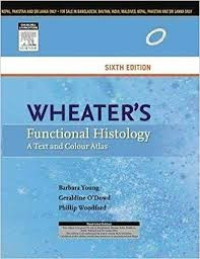 Image of Wheater\'s Functional Histology: a trext and colour atlas